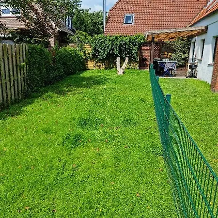 Kleiner Hookie In Hooksiel Mit Hund Ferienhaus Schillig