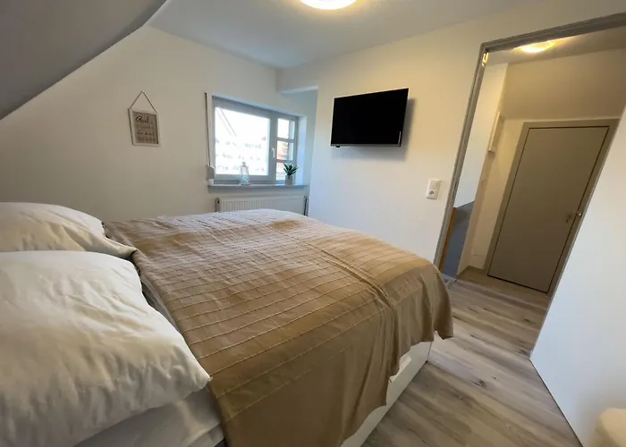 Kleiner Hookie In Hooksiel Mit Hund